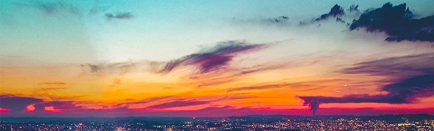 日土茶虫网_日土品茶